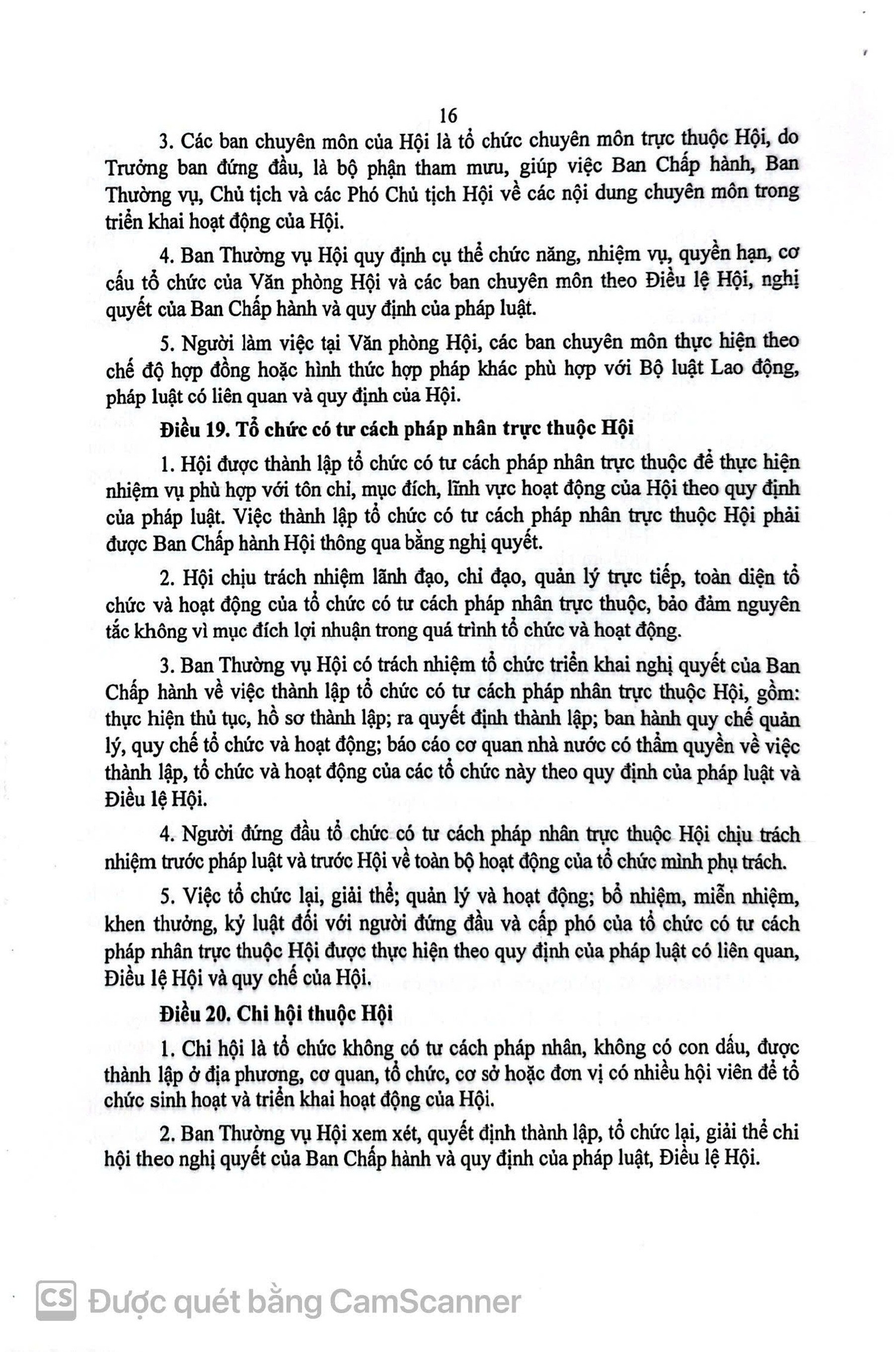 dieu-le-hoi-bao-tro-nguoi-khuyet-tat-viet-nam-trang-17-1787816624.jpg