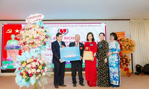 Đại hội Đại biểu Hội Bảo trợ người khuyết tật và Bảo vệ quyền trẻ em tỉnh Gia Lai khóa VI. Chương trình “Tiếp sức trẻ khuyết tật đến trường” trao quà tại tỉnh Gia Lai.