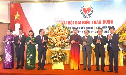 Đại hội Hội Bảo trợ người khuyết tật Việt Nam lần thứ I: Đổi mới, phát triển và nâng tầm hoạt động