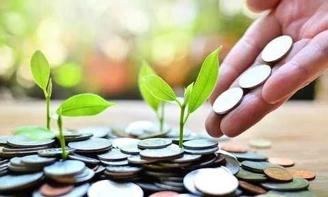 Nghị định số 03/2026/NĐ-CP, ngày 9/1/2026 của Chính phủ về tổ chức, hoạt động của quỹ xã hội, quỹ từ thiện