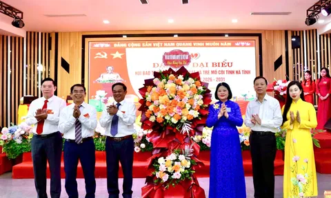 Đại hội Hội Bảo trợ người khuyết tật và trẻ mồ côi tỉnh Hà Tĩnh lần thứ V, nhiệm kỳ 2026–2031.