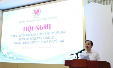Hội Bảo trợ người khuyết tật Việt Nam: Nâng cao kỹ năng thực chiến, đẩy mạnh chuyển đổi số trong công tác Hội.